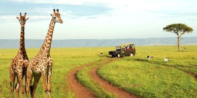 Finding Lesotho Jobs Locally: Your Nearby Job Hunting Guide